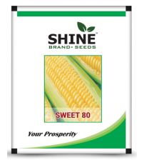 Maize / Sweet Corn Sweet-80 500 grams